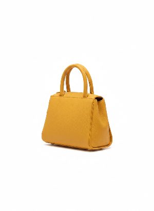 small handbag