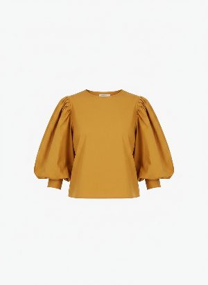 puff-sleeved blouse