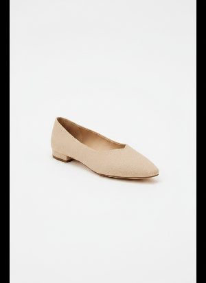 zapatos planos
