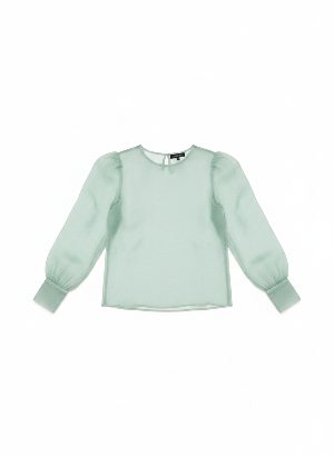 sheer long-sleeve blouse