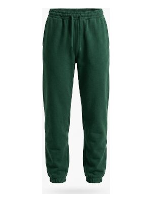 athletic jogger pants
