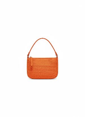 mini shoulder bag